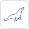 MariaDB