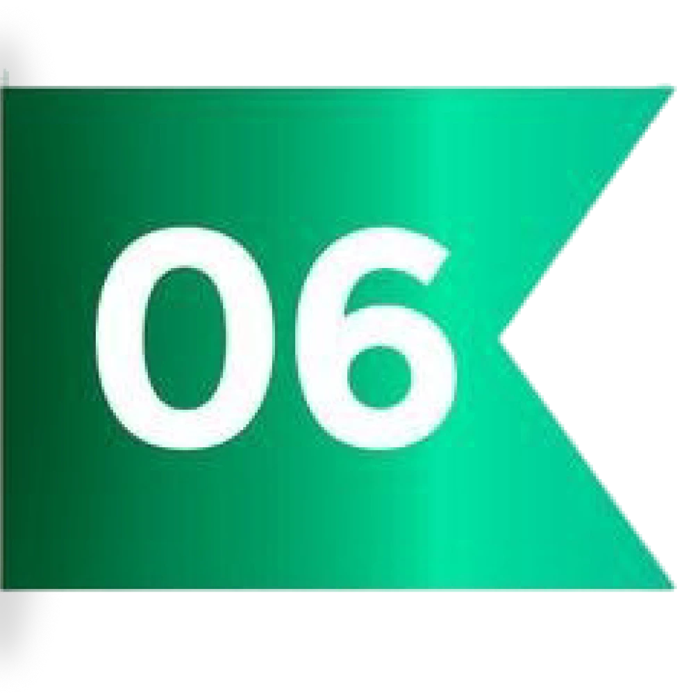 6